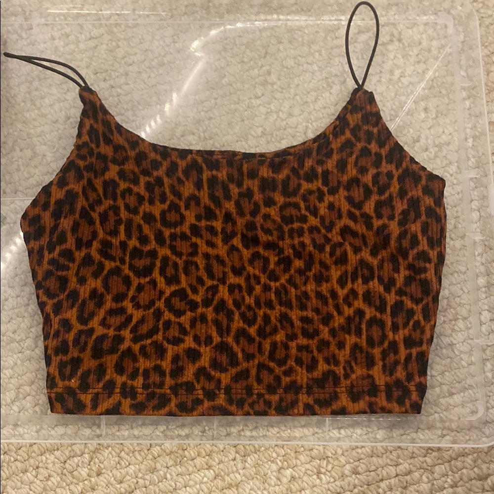 Windsor Top